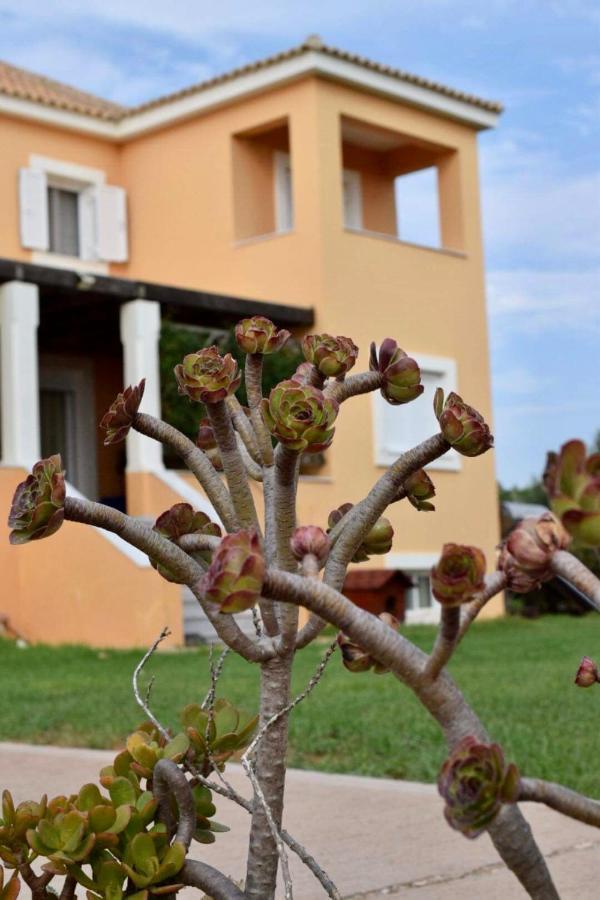 Boutique Hotel Ileas Village Arkoudi Exterior photo